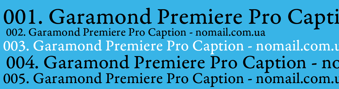 Шрифт Garamond Premiere Pro Caption