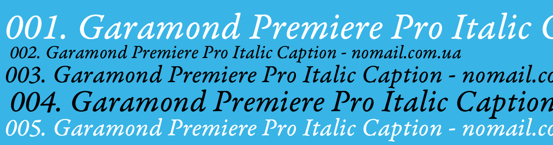 Шрифт Garamond Premiere Pro Italic Caption