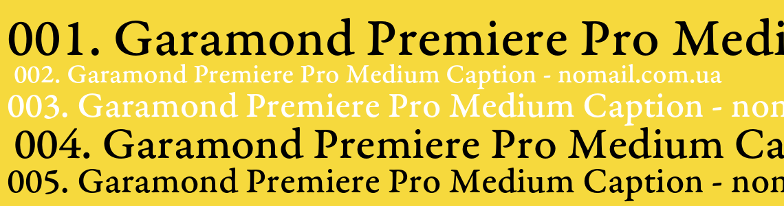 Шрифт Garamond Premiere Pro Medium Caption