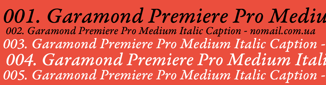 Шрифт Garamond Premiere Pro Medium Italic Caption