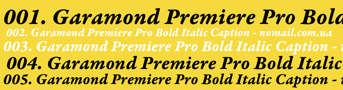 Шрифт Garamond Premiere Pro Bold Italic Caption