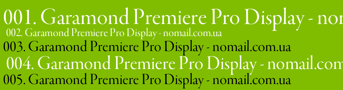 Шрифт Garamond Premiere Pro Display