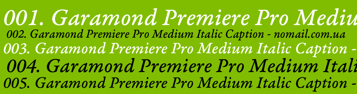 Шрифт Garamond Premiere Pro Medium Italic Caption