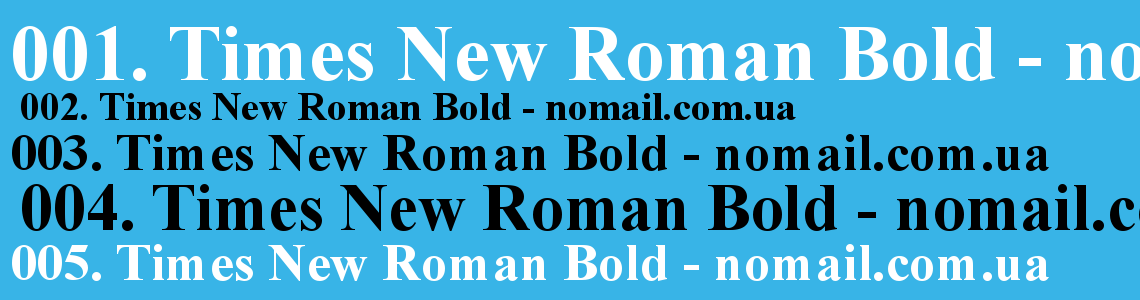 Шрифт times roman. Шрифт times New Roman Bold. Таймс Нью Роман Болд. Таймс Нью Роман кириллица. Шрифт Тимес Нью Роман кириллица.