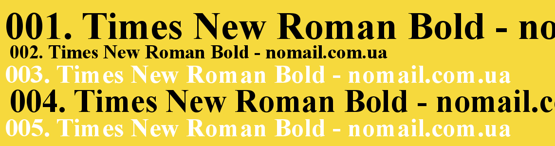 Шрифт Times New Roman Bold