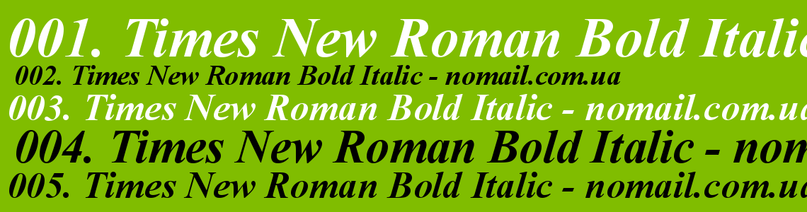 Times new roman bold 2