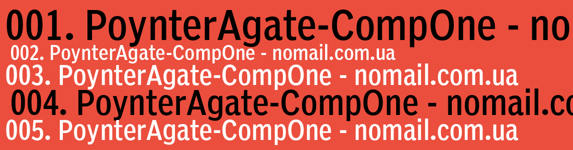 Шрифт PoynterAgate-CompOne