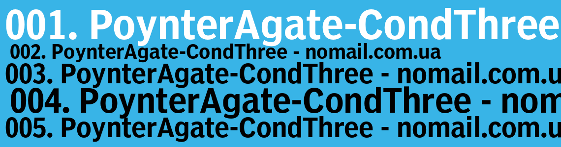 Шрифт PoynterAgate-CondThree