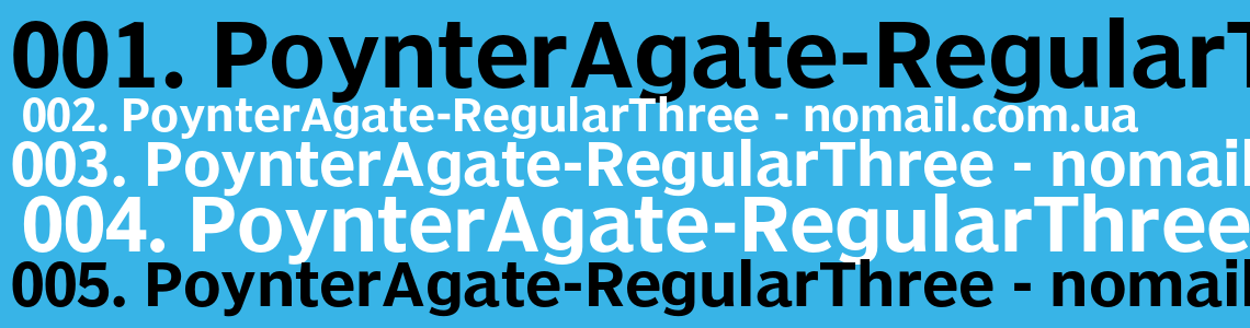 Шрифт PoynterAgate-RegularThree