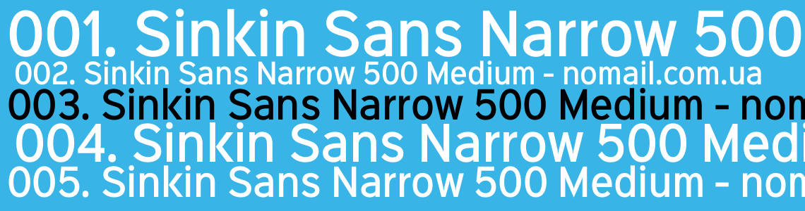 Sans narrow. Sinkin Sans narrow 900 Extra Black. Pt Sans narrow. Шрифт Crewniverse Medium 500. Pt Sans narrow шрифт ассоциируется.