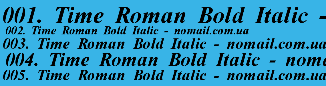 Times new roman italic