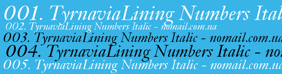 Шрифт TyrnaviaLining Numbers Italic