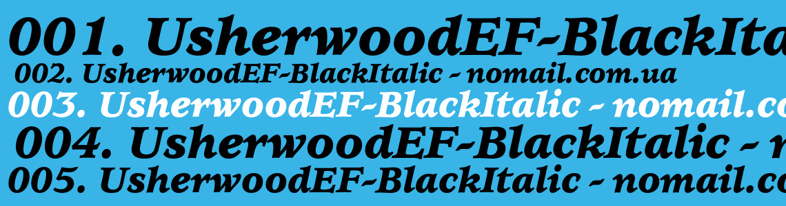Шрифт UsherwoodEF-BlackItalic
