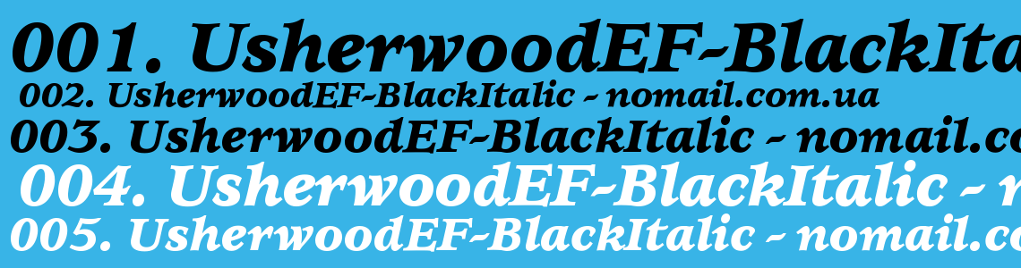 Шрифт UsherwoodEF-BlackItalic