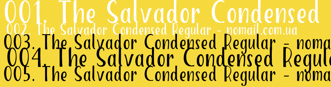 Шрифт The Salvador Condensed Regular