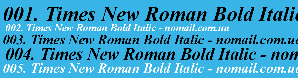 Times new roman italic