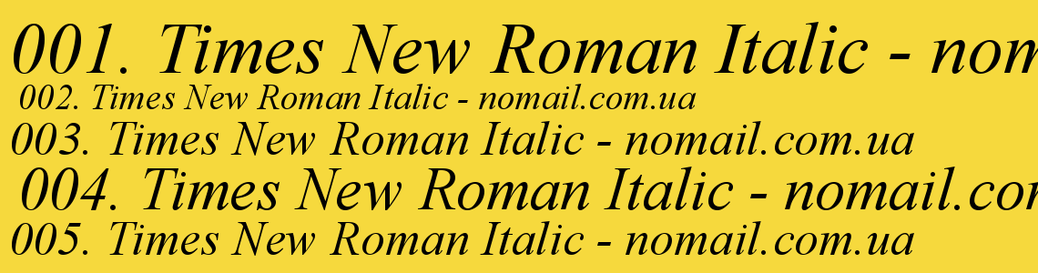 Times new roman italic