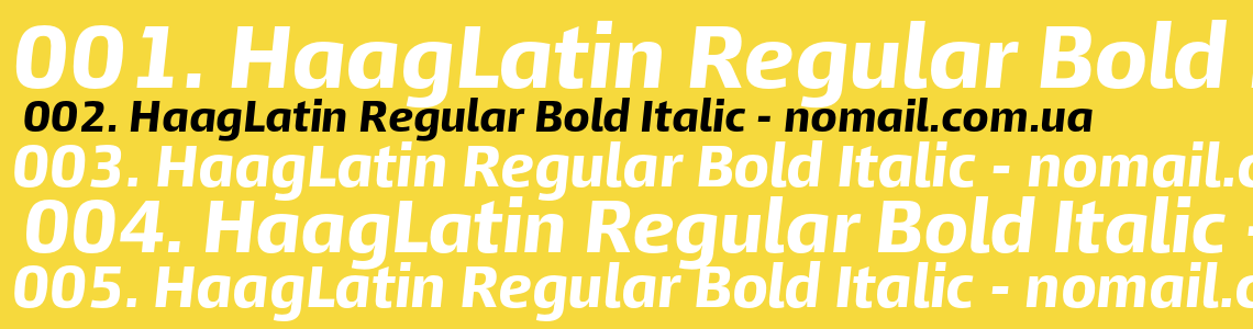 Шрифт HaagLatin Regular Bold Italic