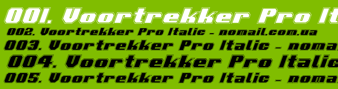 Шрифт Voortrekker Pro Italic