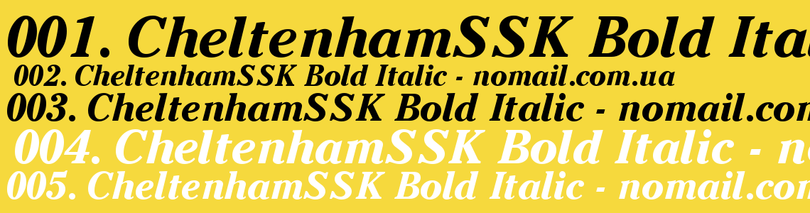 Шрифт CheltenhamSSK Bold Italic