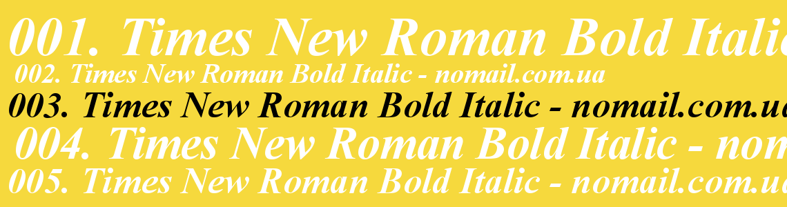 Шрифт Times New Roman Bold Italic